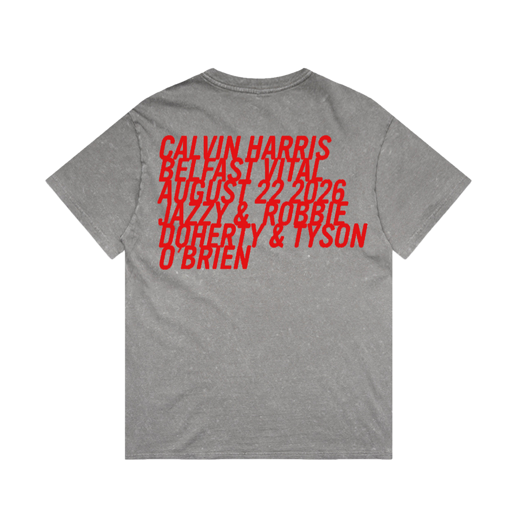 Belfast Vital Stone Grey Sun Flame T-Shirt