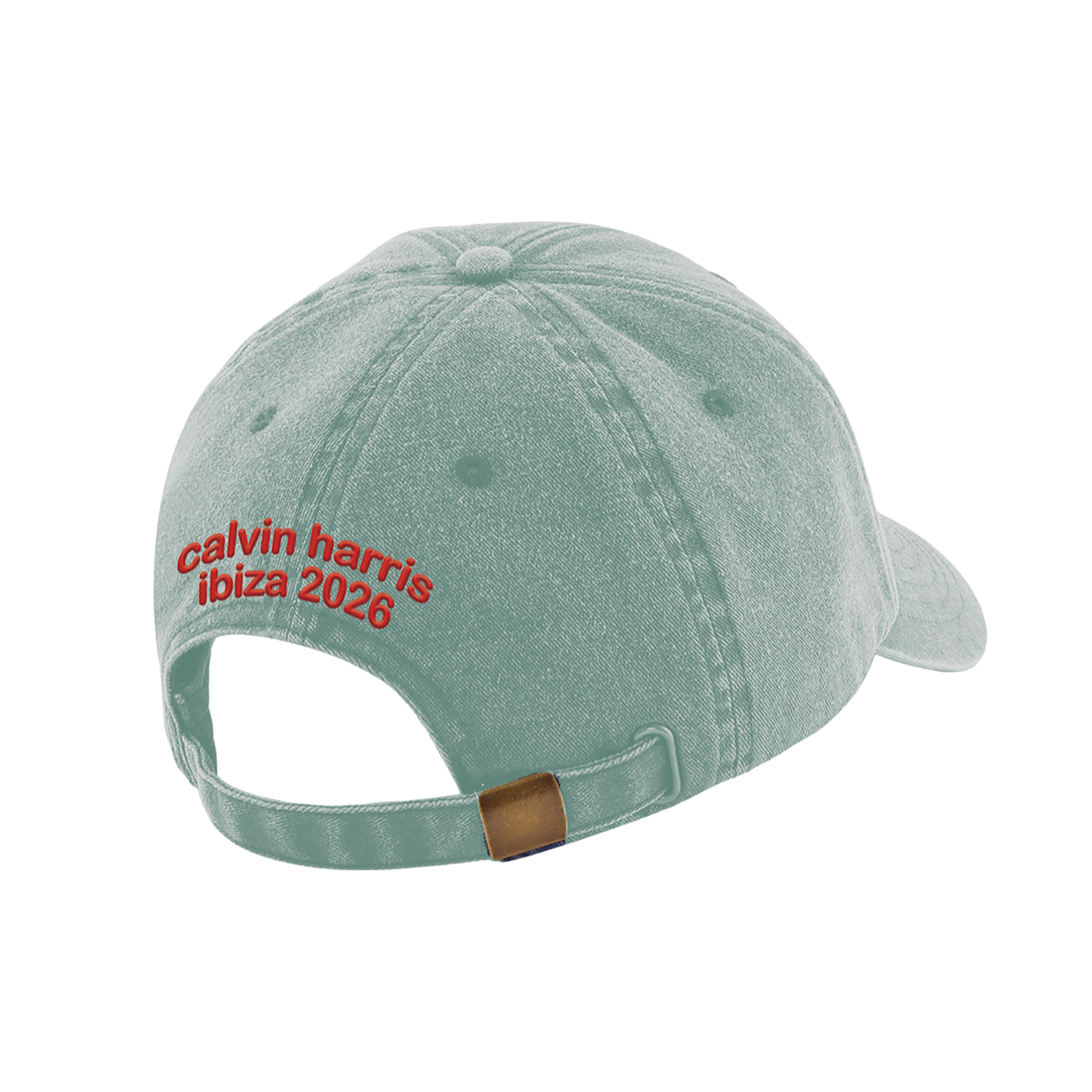 Sage 'Satisfy' Cap