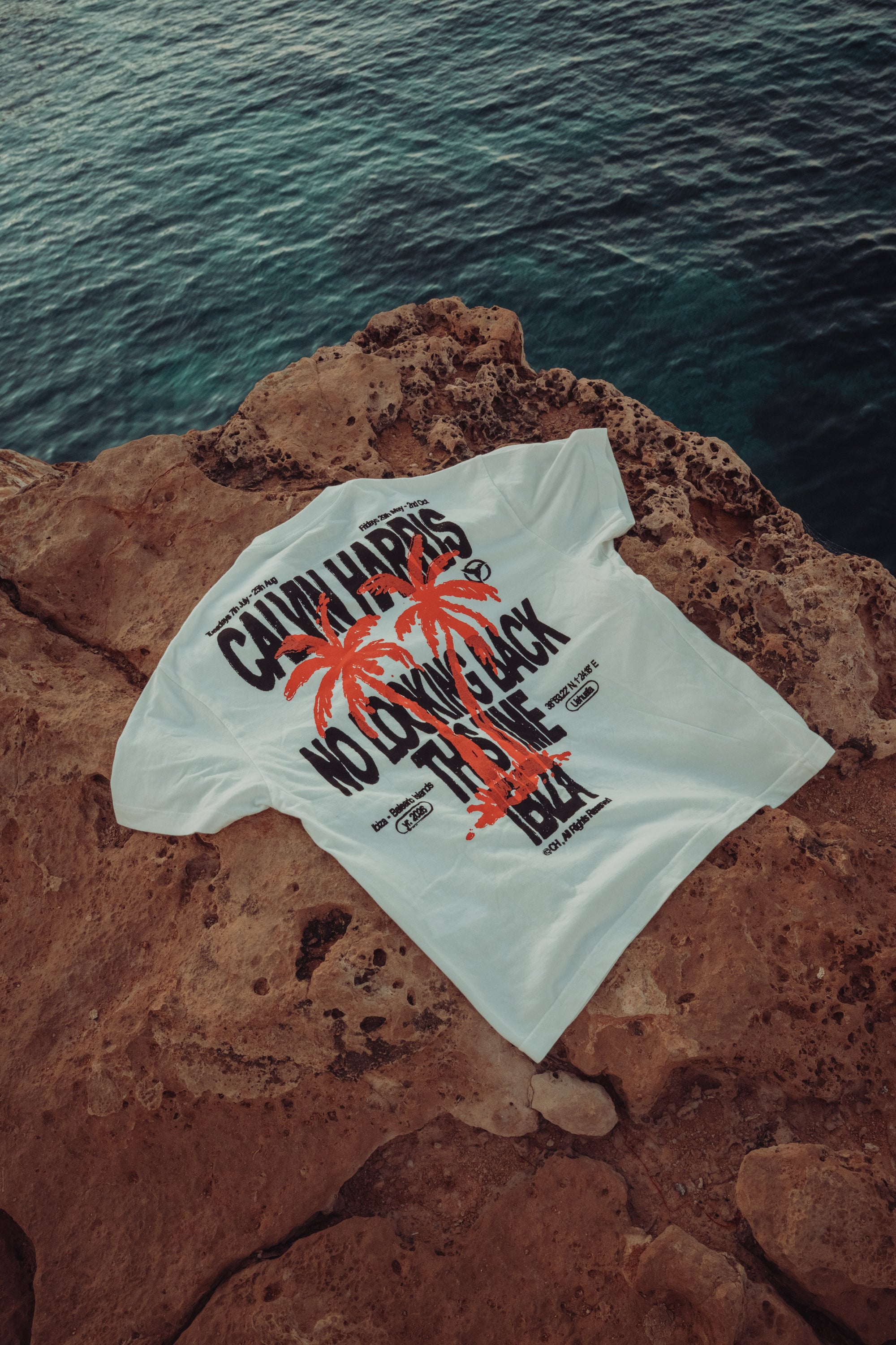 Ecru Palm Tree T-Shirt